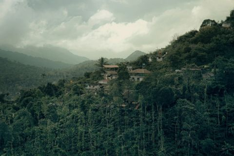 Coorg